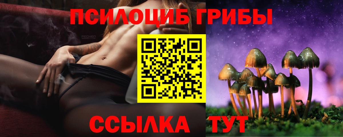 Галлюциногенные грибы прущие грибы  Галлюциногенные грибы Psilocybe  Вход с VPN  Ставрополь 